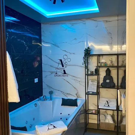 公寓 Atrium 巴尼西卢卡